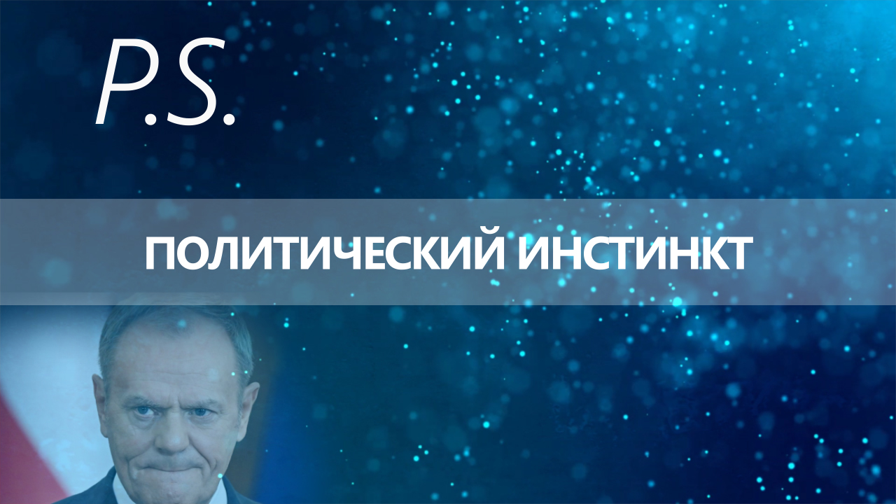 ПОСТСКРИПТУМ: ПОЛИТИЧЕСКИЙ ИНСТИНКТ